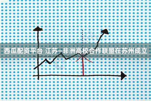 西瓜配资平台 江苏—非洲高校合作联盟在苏州成立