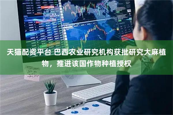 天猫配资平台 巴西农业研究机构获批研究大麻植物，推进该国作物种植授权