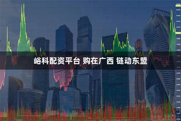 峪科配资平台 购在广西 链动东盟
