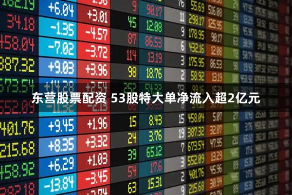 东营股票配资 53股特大单净流入超2亿元